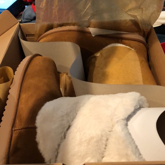 Brand new Koolaburra by Ugg W Dezi Short Chestnut - Picture 5 of 5